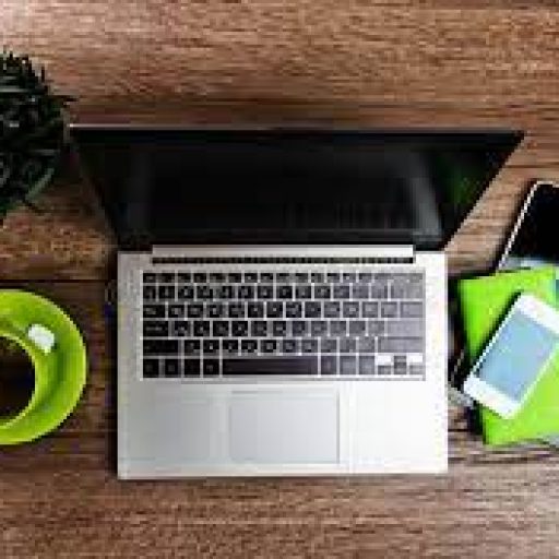 Winging It: When a Fly Hijacks Your&nbsp;Workday