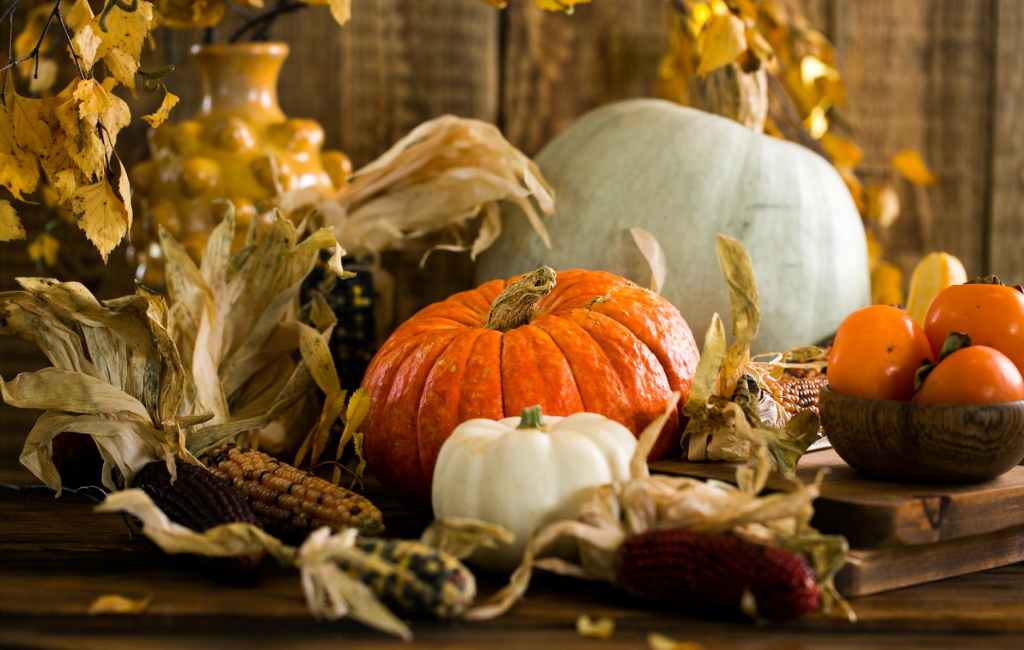 Surviving the Holiday Hustle: Navigating Festive Fall&nbsp;Distractions